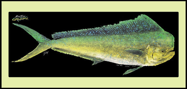 Realfish Indoor/Outdoor Floor Mats