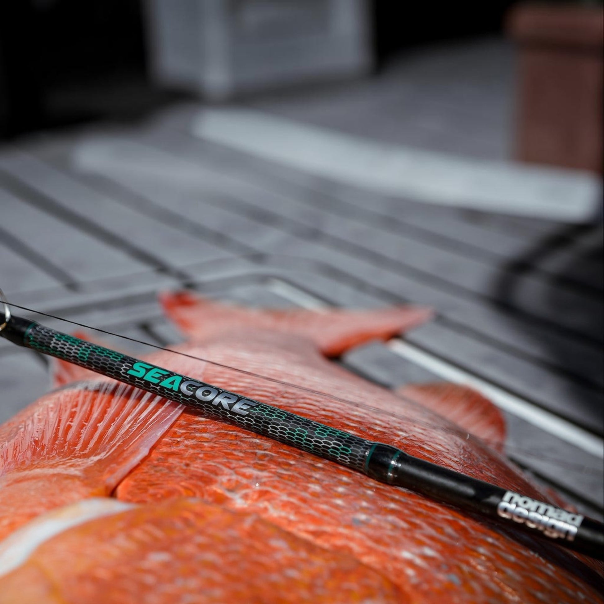 Nomad Seacore Slow Pitch Conventional Jigging Rods - Dogfish Tackle & Marine