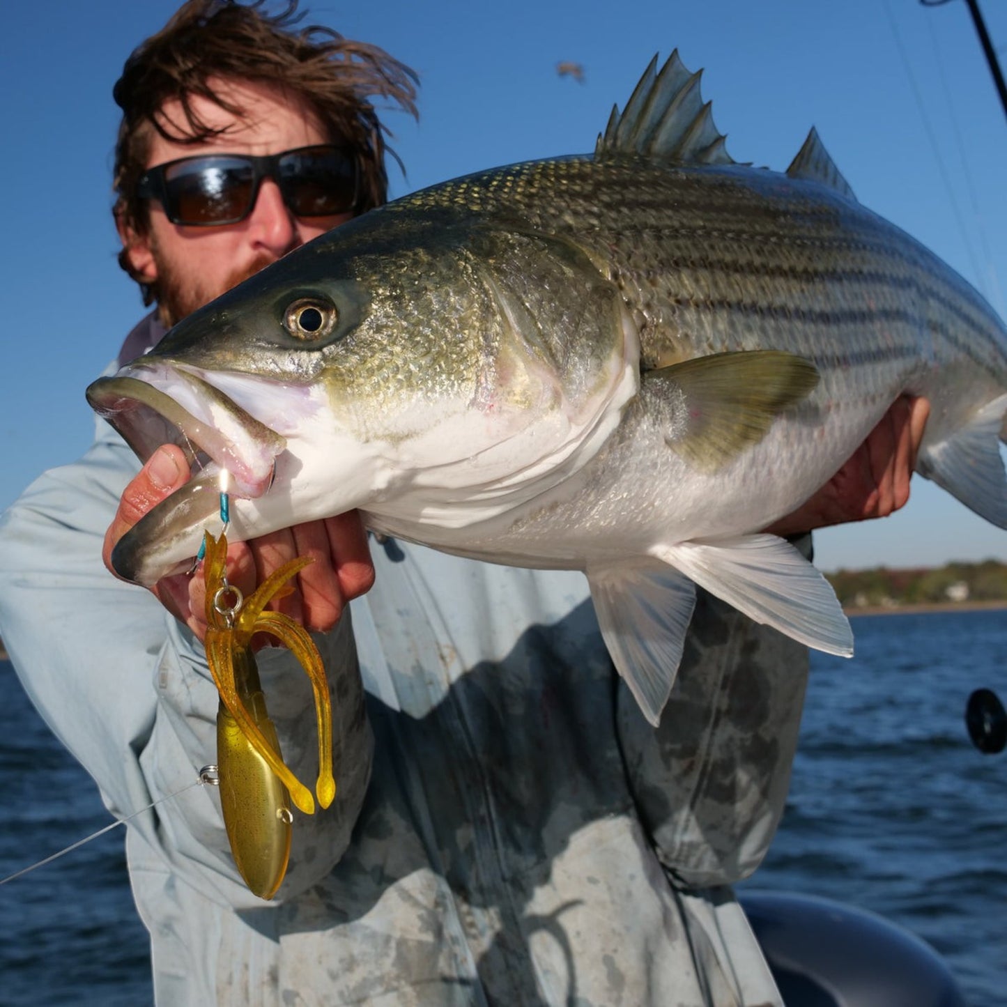 Nomad Squidtrex 75 Vibe 3" - 1/2oz - Dogfish Tackle & Marine