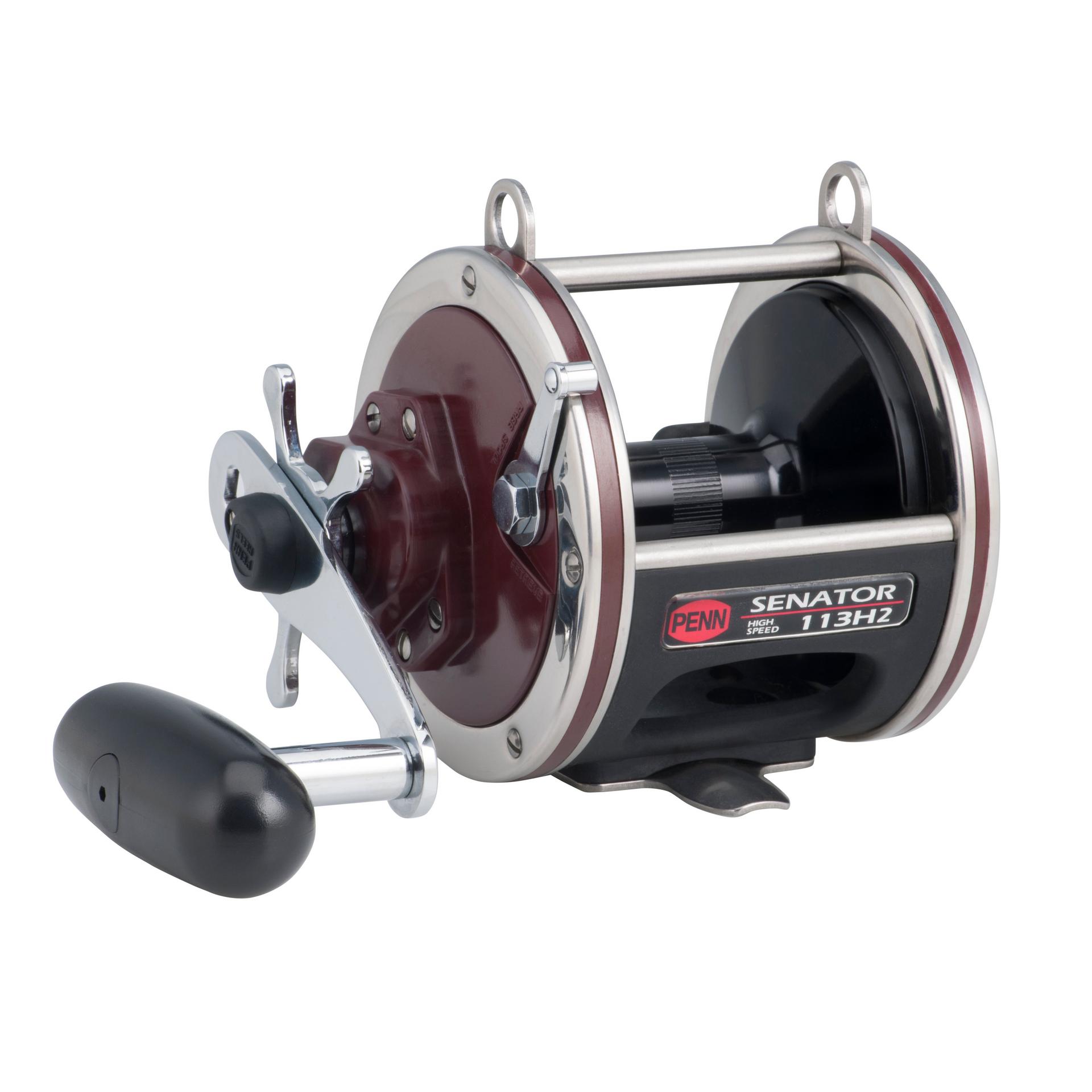 Penn Senator Star Drag Conventional Reel - Dogfish Tackle & Marine