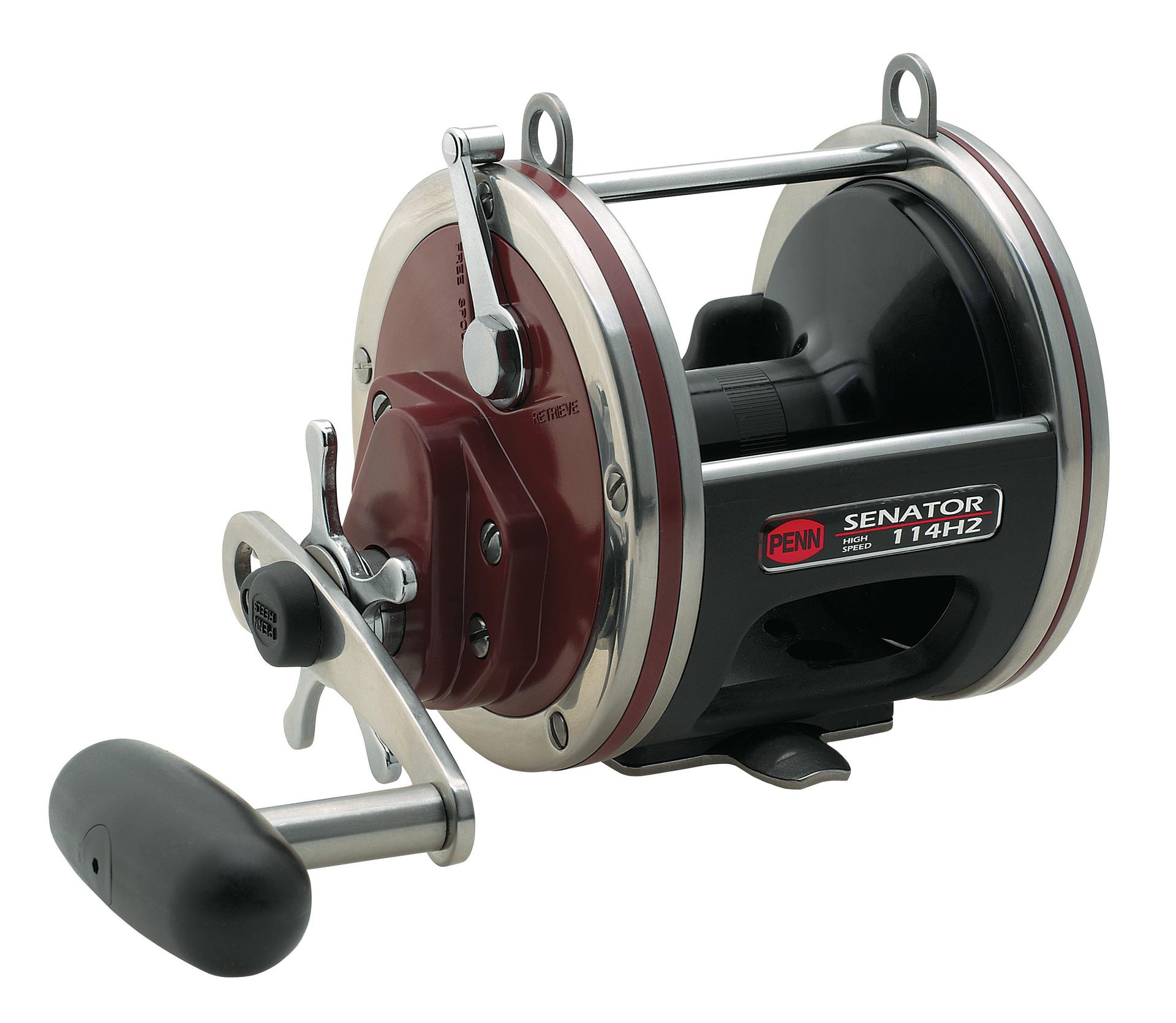 Penn Senator Star Drag Conventional Reel - Dogfish Tackle & Marine