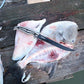 SORD Fishing Products 9in Serrated Blade Knife - Dogfish Tackle & Marine