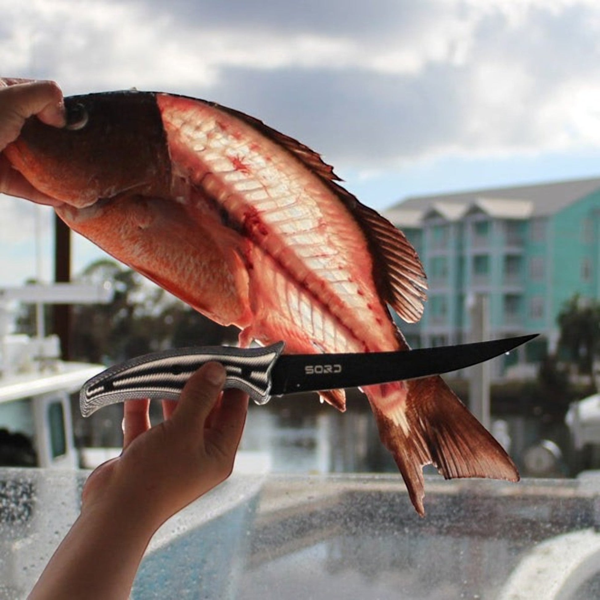 SORD Fishing Products 7in Fillet Knife - Flexy - Dogfish Tackle & Marine