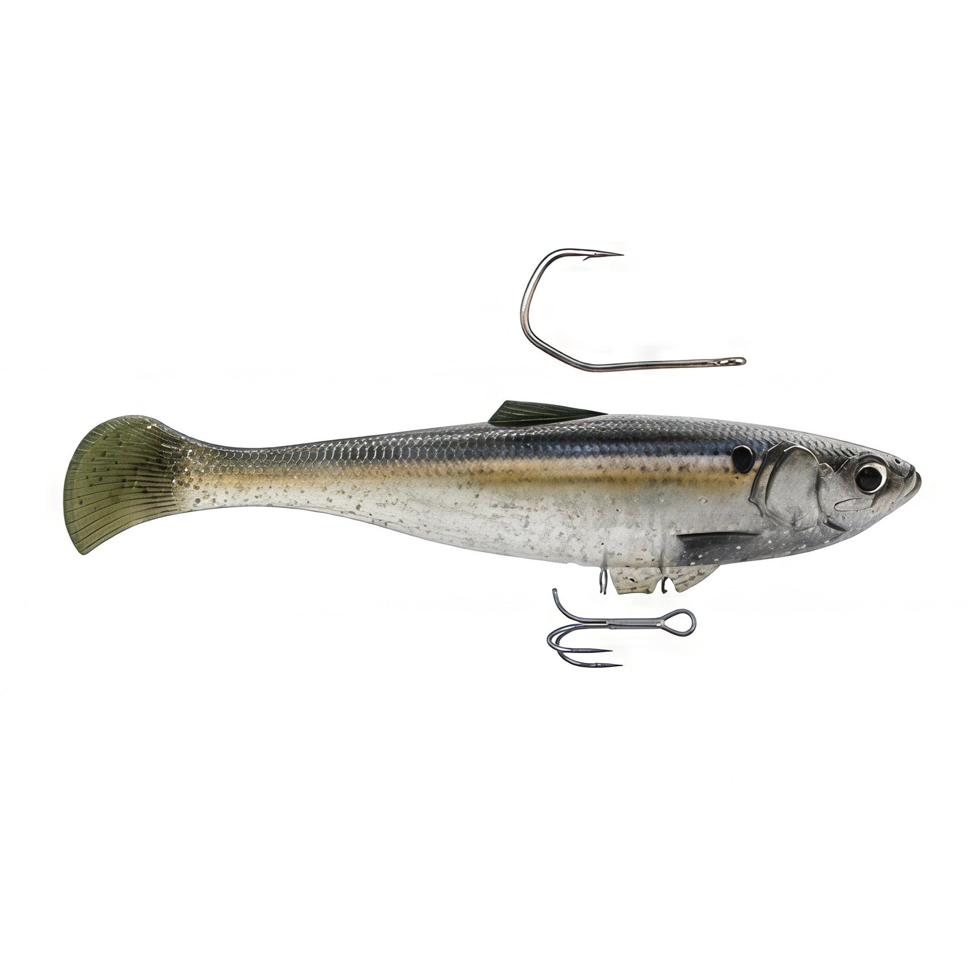 Z-man Swag LT Swimbaits - Dogfish Tackle & Marine