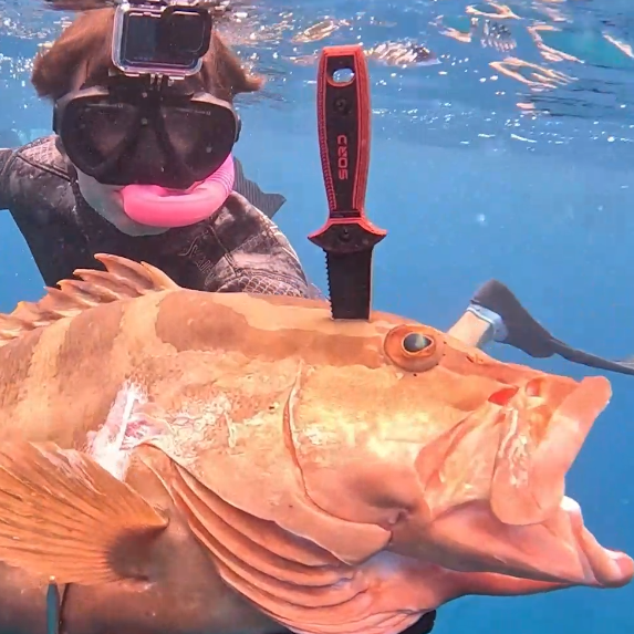 Sord 4in Freediving Knife - Dogfish Tackle & Marine