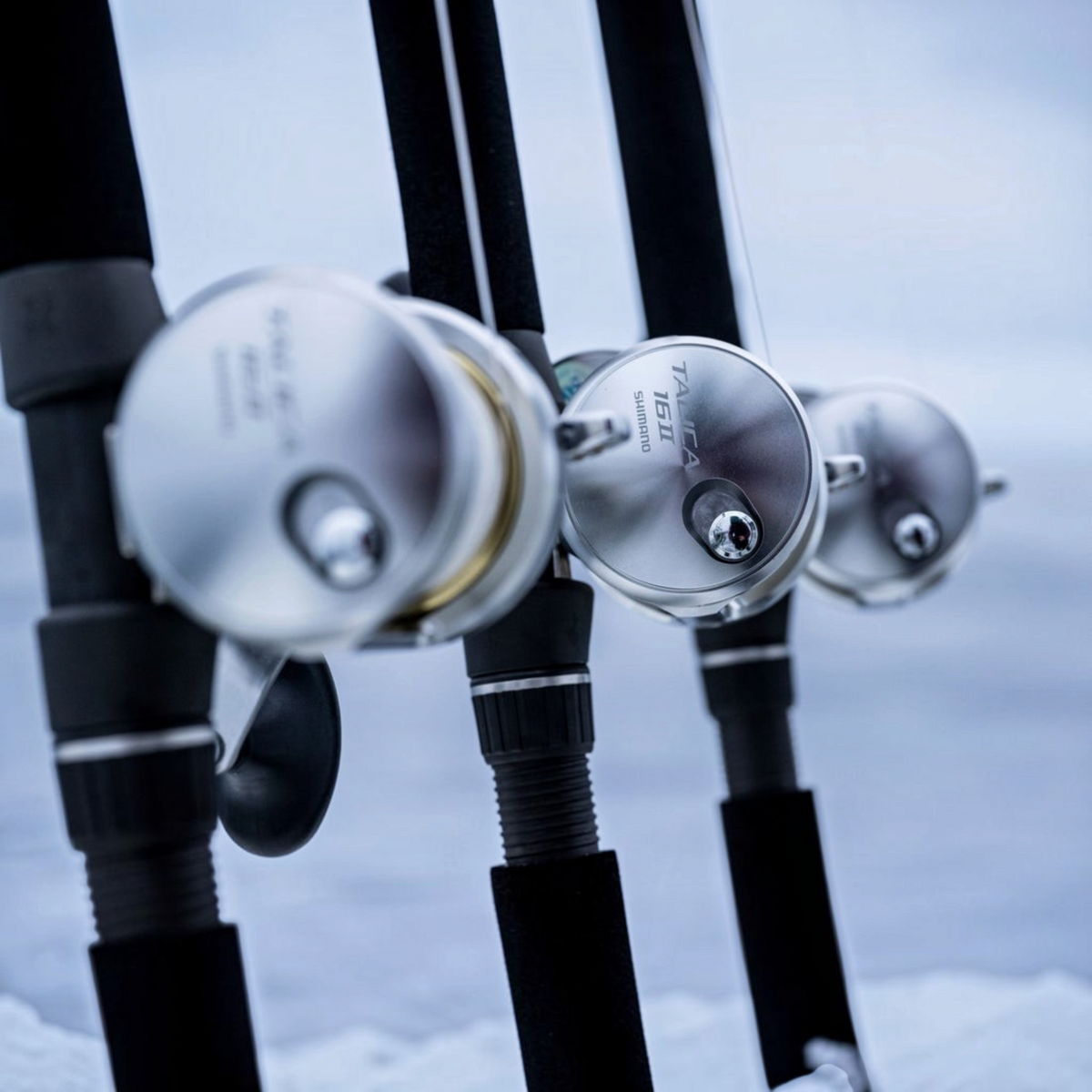 Shimano Talica A 2 Speed Lever Drag Reels - Dogfish Tackle & Marine