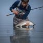 Shimano Vanford FA Spinning Reels - Dogfish Tackle & Marine
