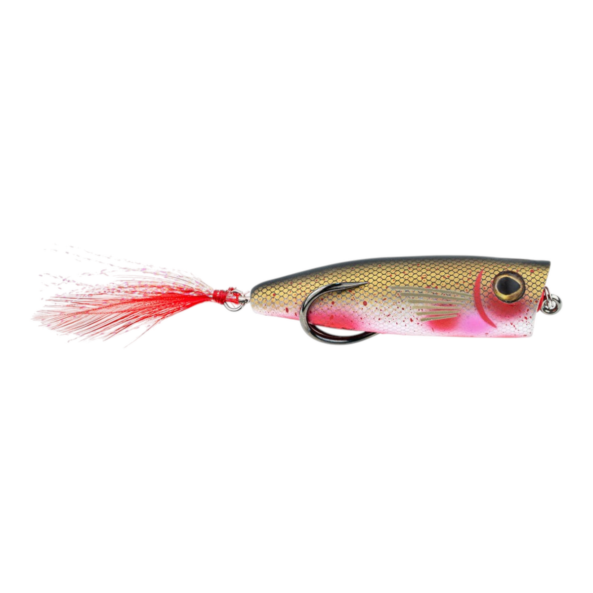 Snag Proof Zoo Pop Popper - Dogfish Tackle & Marine
