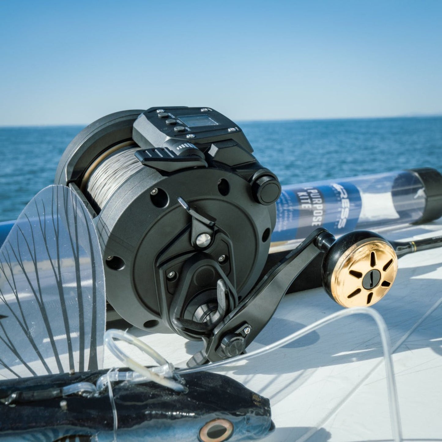 Daiwa Tanacom 800 - 1200 Power Assist Reel - Dogfish Tackle & Marine