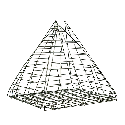Dolphin 12in Star Crab Trap