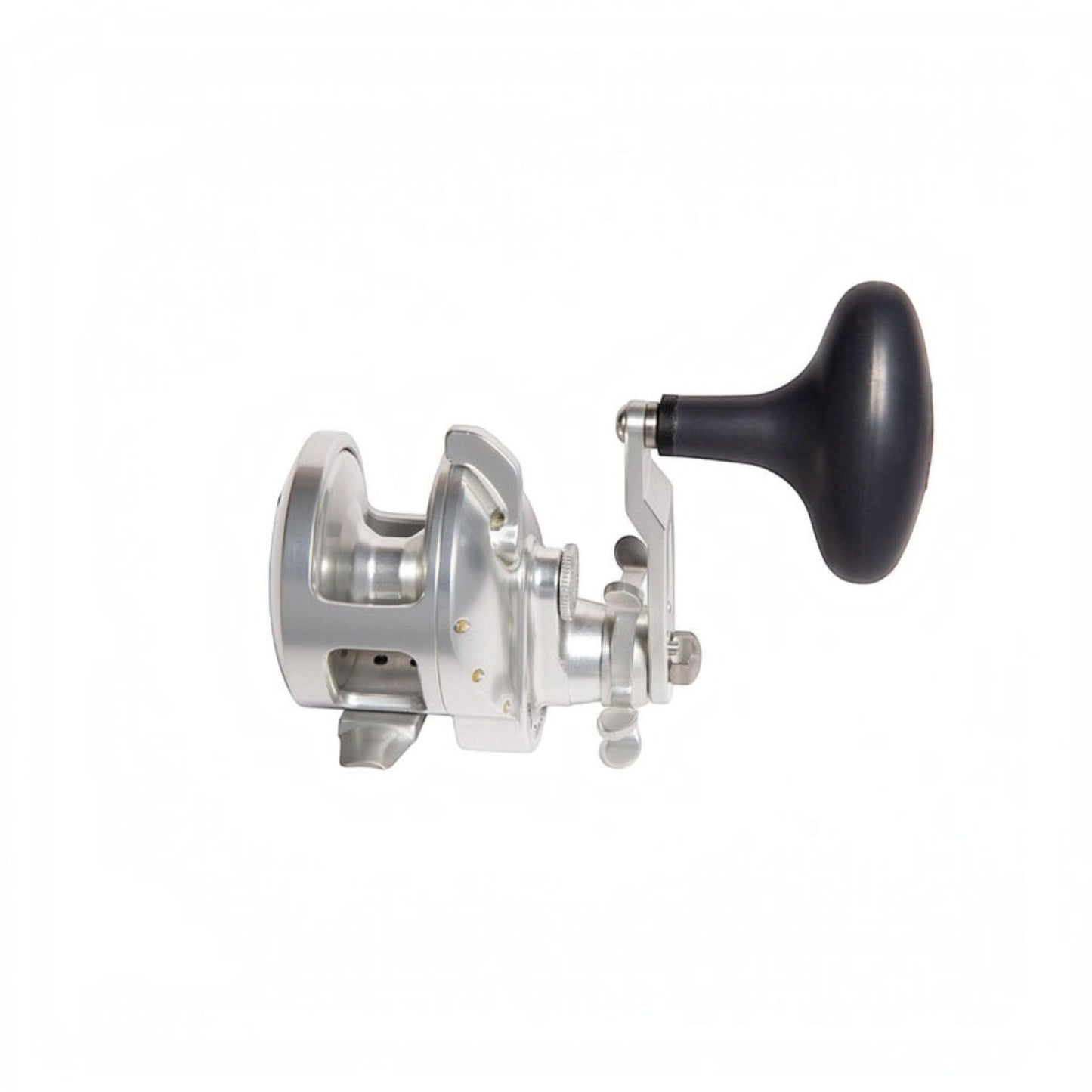 Accurate Tern 2 Conventional Star Drag - Dogfish Tackle & Marine