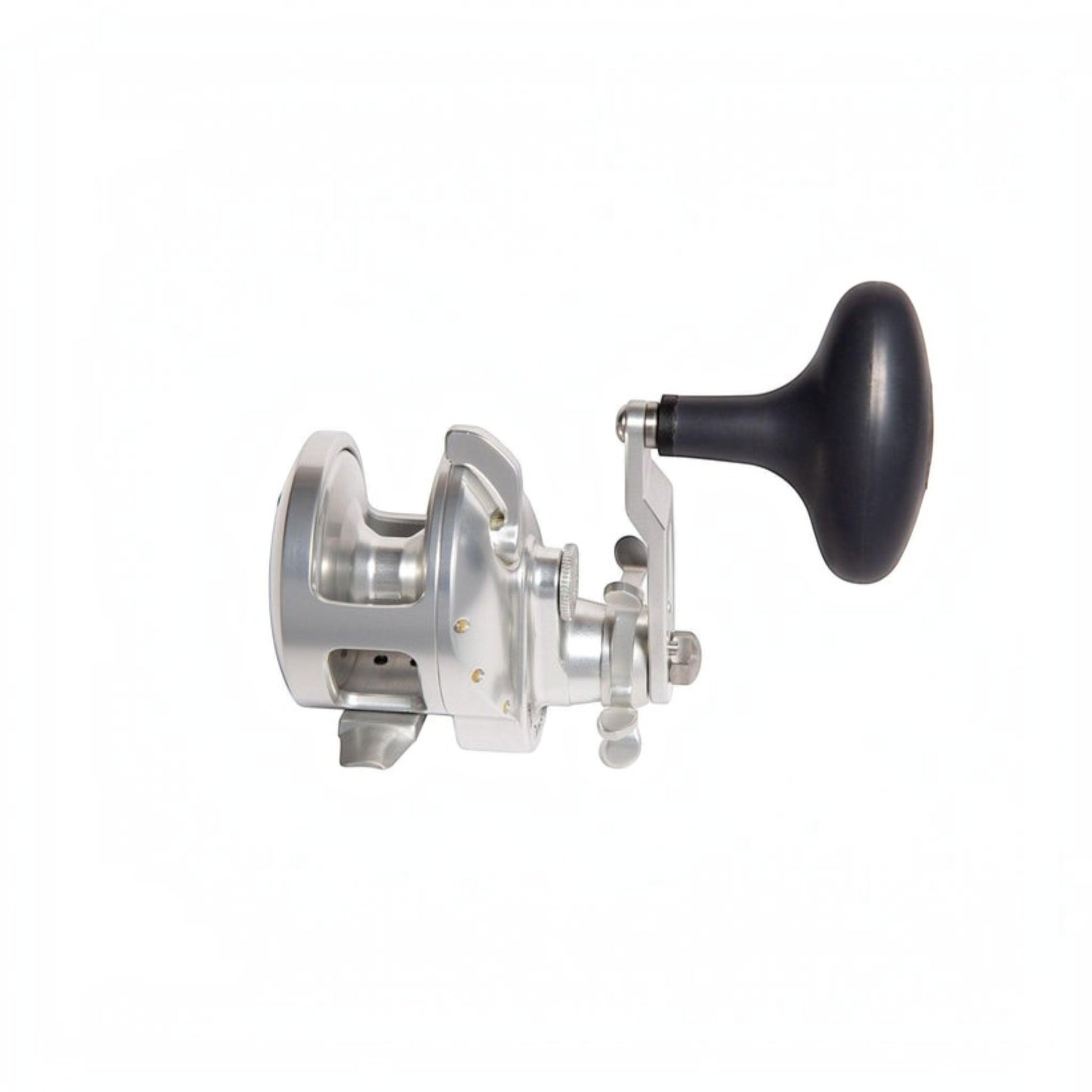 Accurate Tern 2 Conventional Star Drag - Dogfish Tackle & Marine
