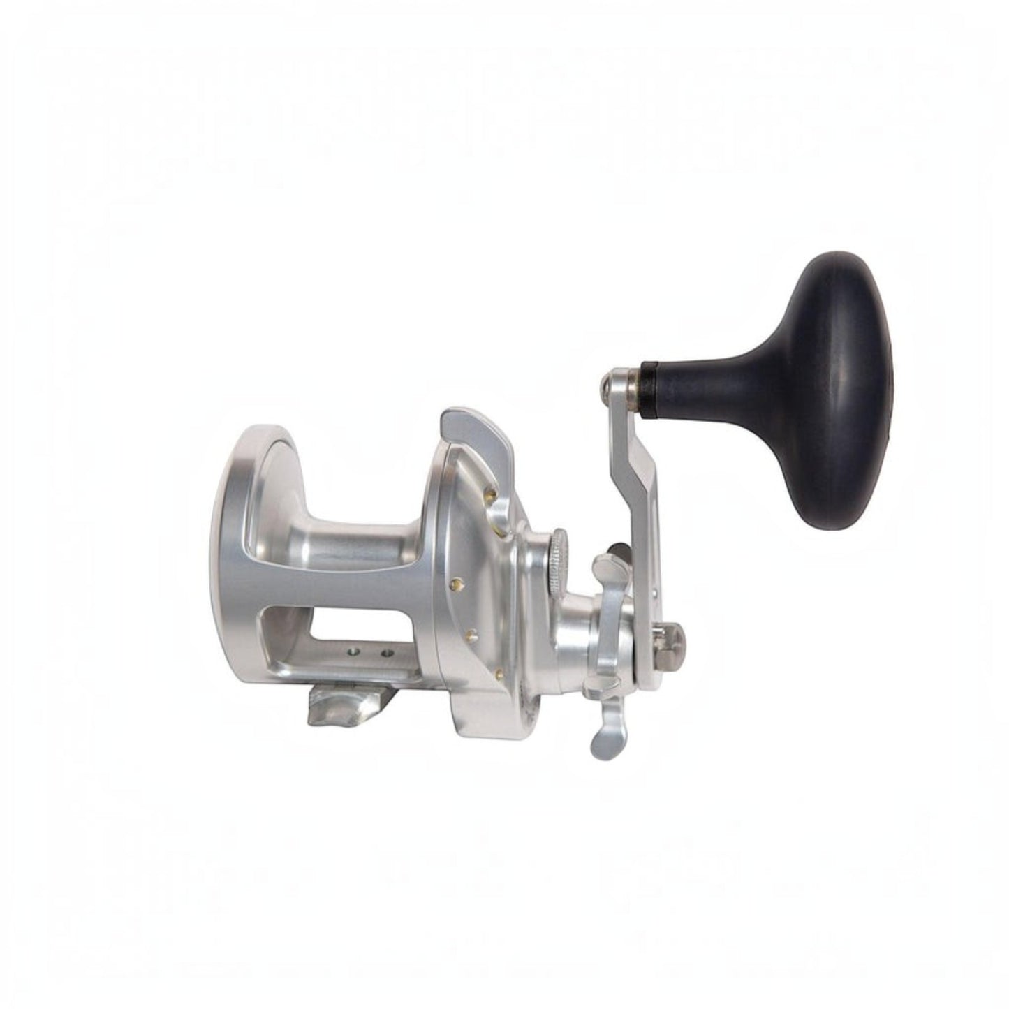 Accurate Tern 2 Conventional Star Drag - Dogfish Tackle & Marine