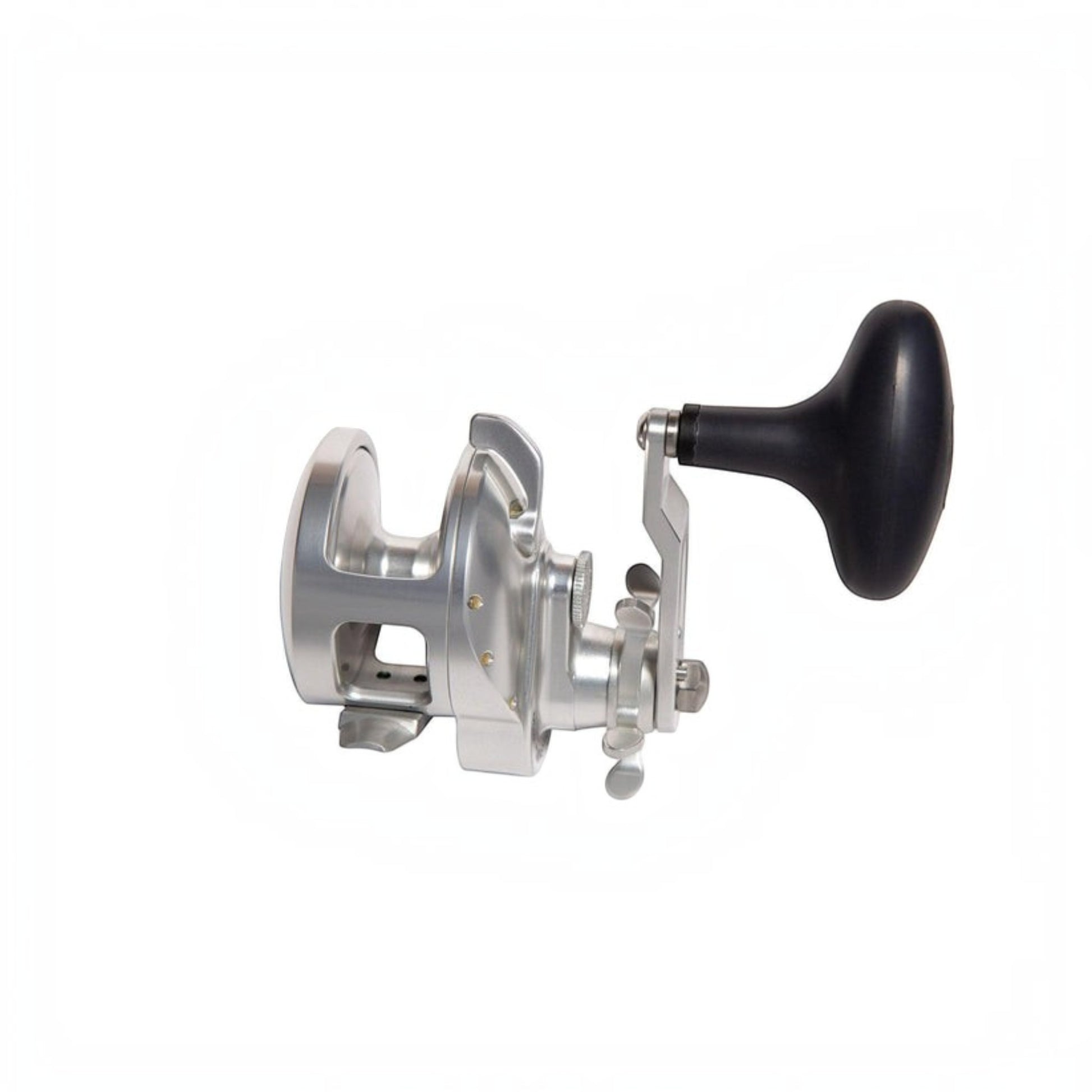 Accurate Tern 2 Conventional Star Drag - Dogfish Tackle & Marine