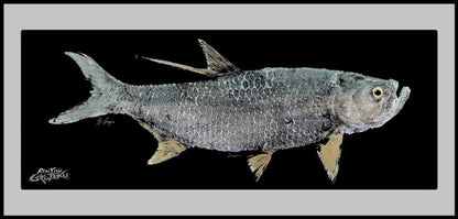 Realfish Indoor/Outdoor Floor Mats