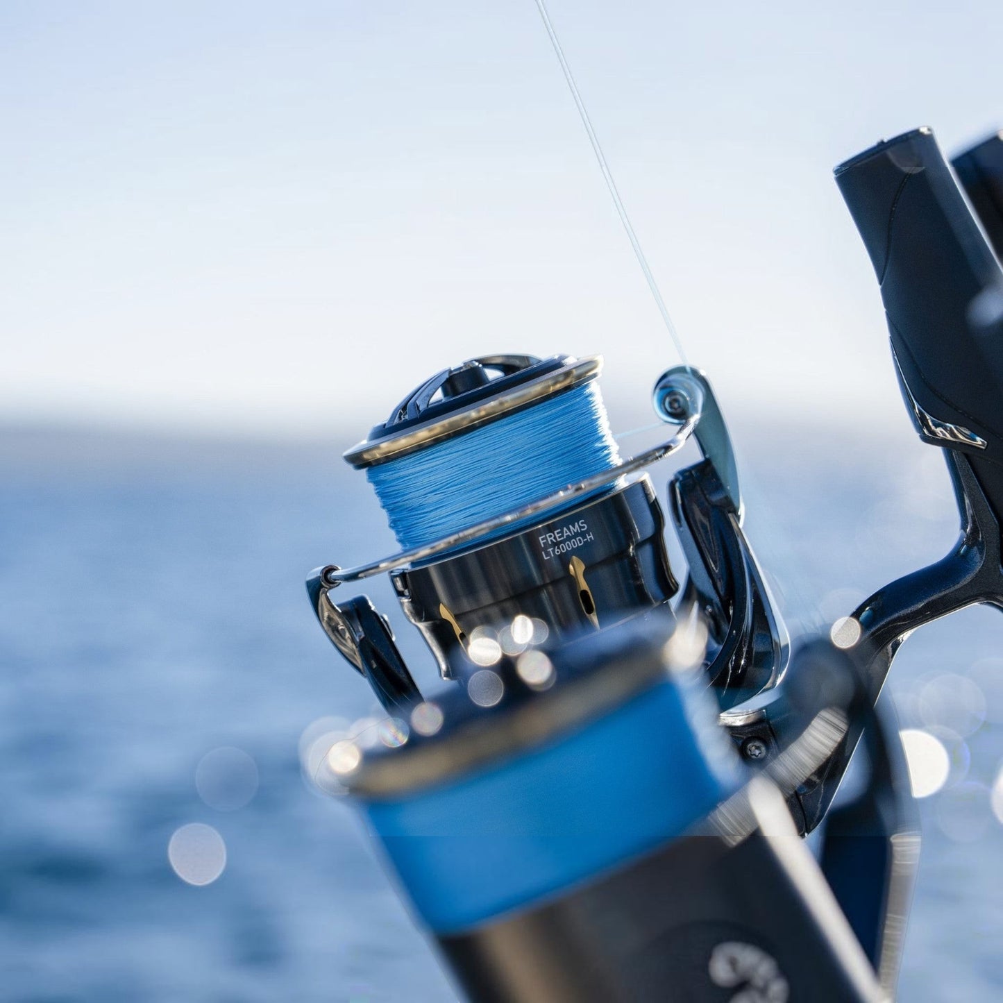 Daiwa Freams LT Spinning Reels Dogfish tackle