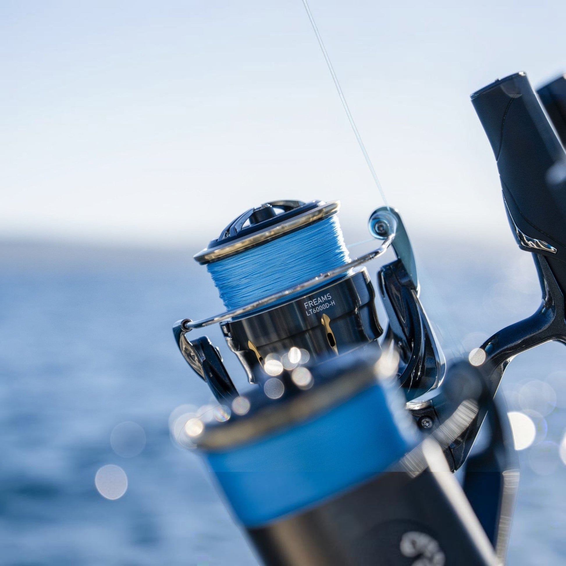 Daiwa Freams LT Spinning Reels Dogfish tackle