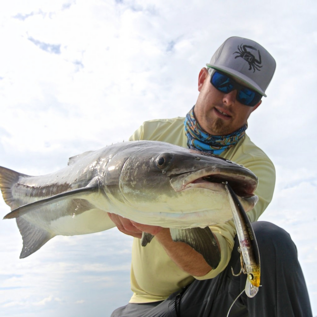 Yo-Zuri Crystal 3D Minnow Floating & Sinking - Dogfish Tackle & Marine