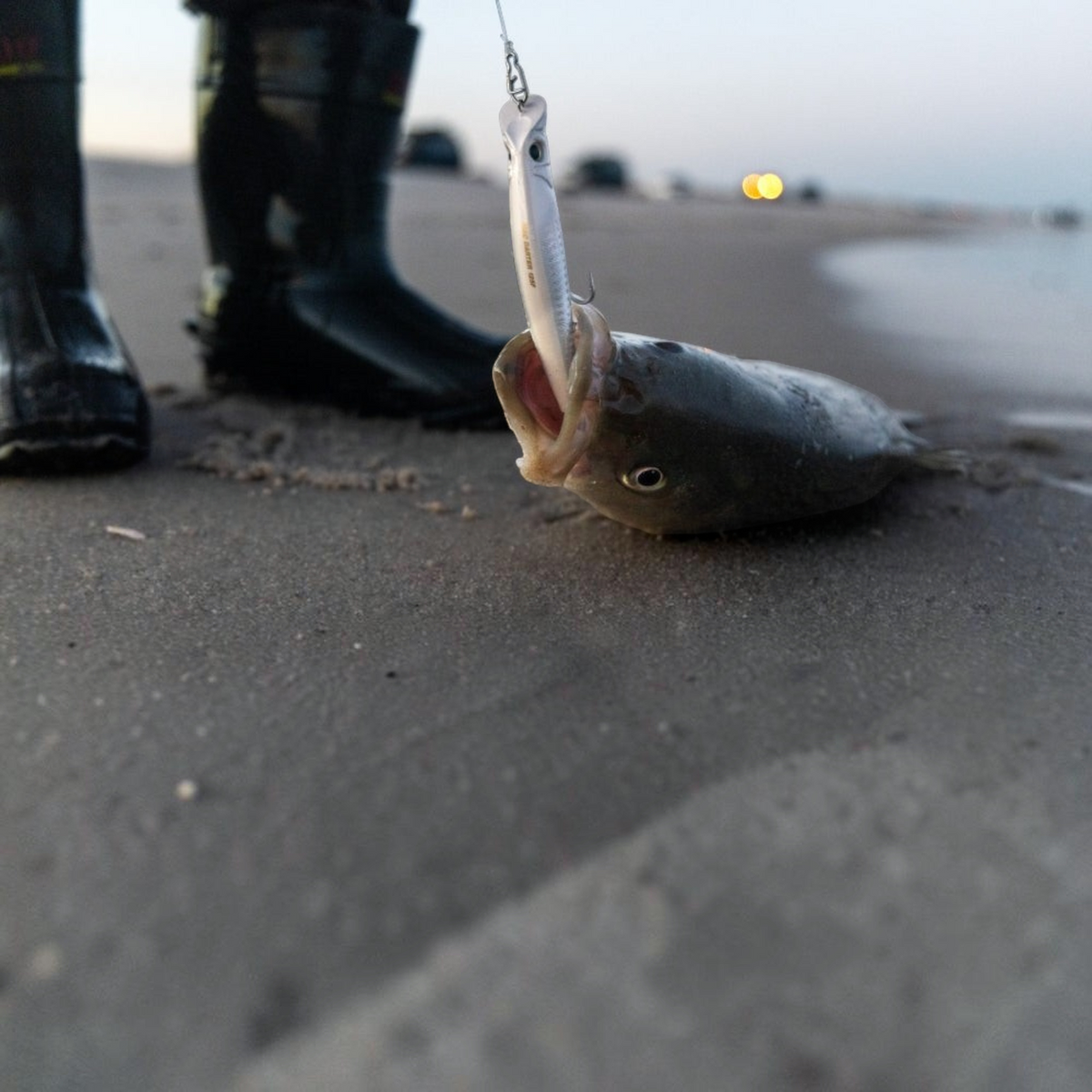 Yozuri Mag Darter Floating - Dogfish Tackle & Marine
