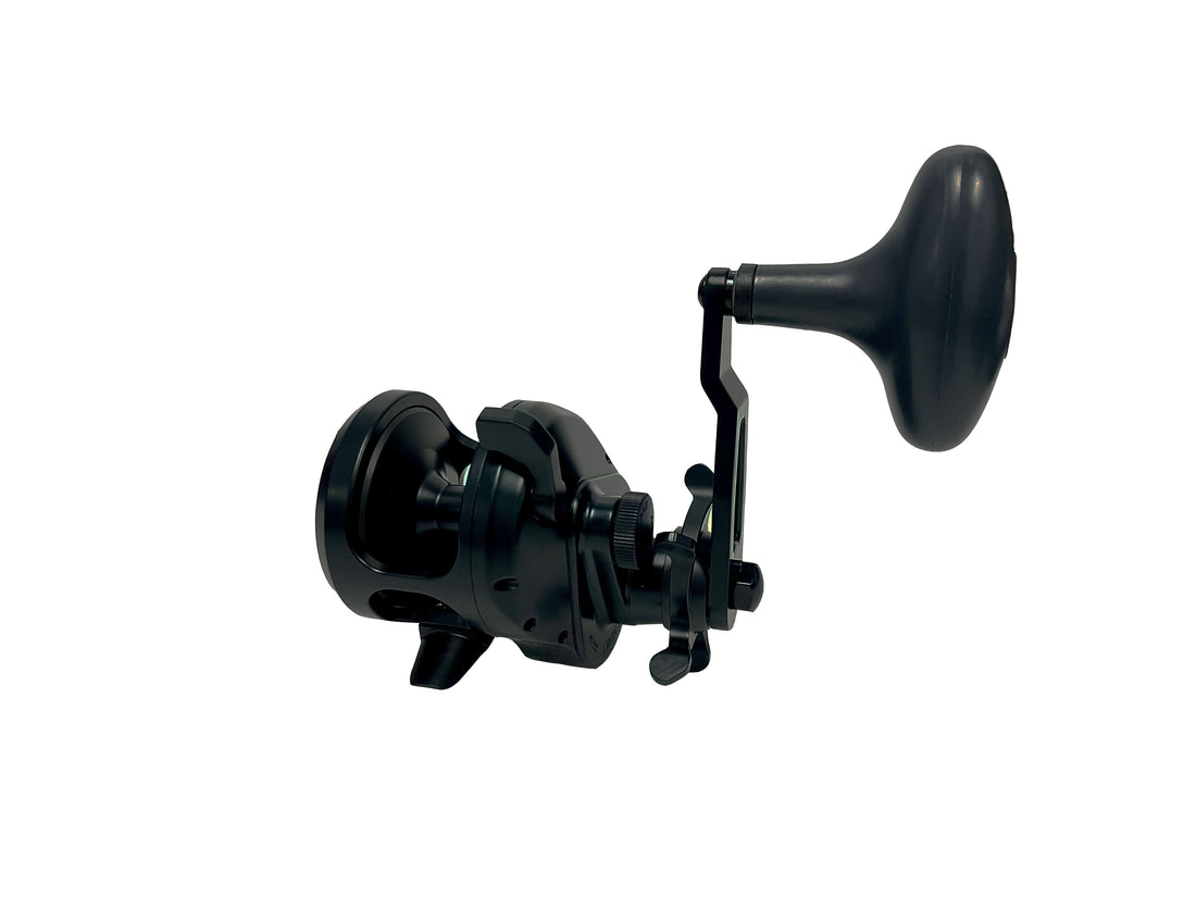 Accurate Ascender SPJ Star Drag Conventional Reel - Dogfish Tackle & Marine