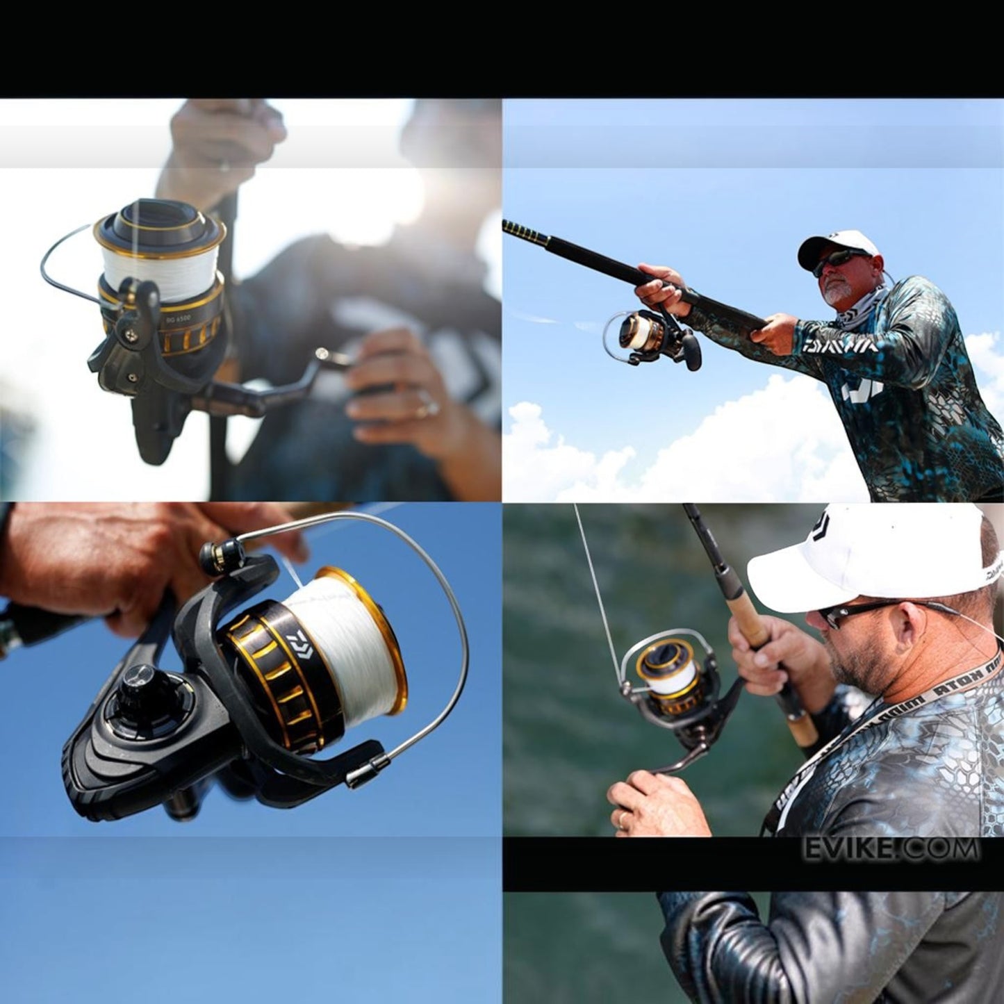 Daiwa BG Spinning Reels - Dogfish Tackle & Marine