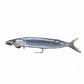 Dogfish Tackle & Marine pre-made ballyhoo fishing rig with a realistic silver fish body, 1/2oz chin weight, and stainless steel hook.