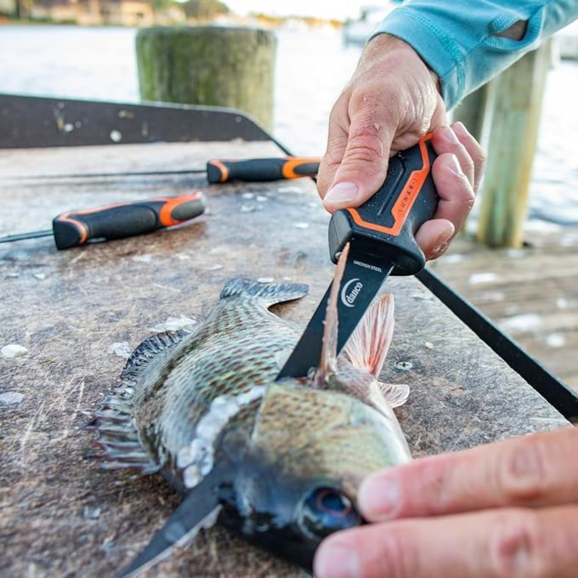 Dogfish Tackle & Marine Danco Lunar-I 7-inch micro flex fillet knife with orange and black handle filleting a fish