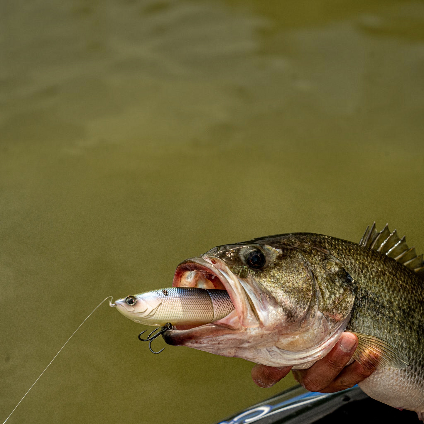 Dogfish Tackle & Marine 6th Sense The Draw 6.5 glide bait in a largemouth bass mouth, showing realistic 3D detailing.