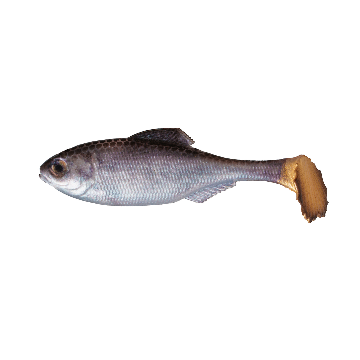 Dogfish Tackle & Marine 6th Sense Panorama soft plastic swimbait with realistic silver scales and gold tail