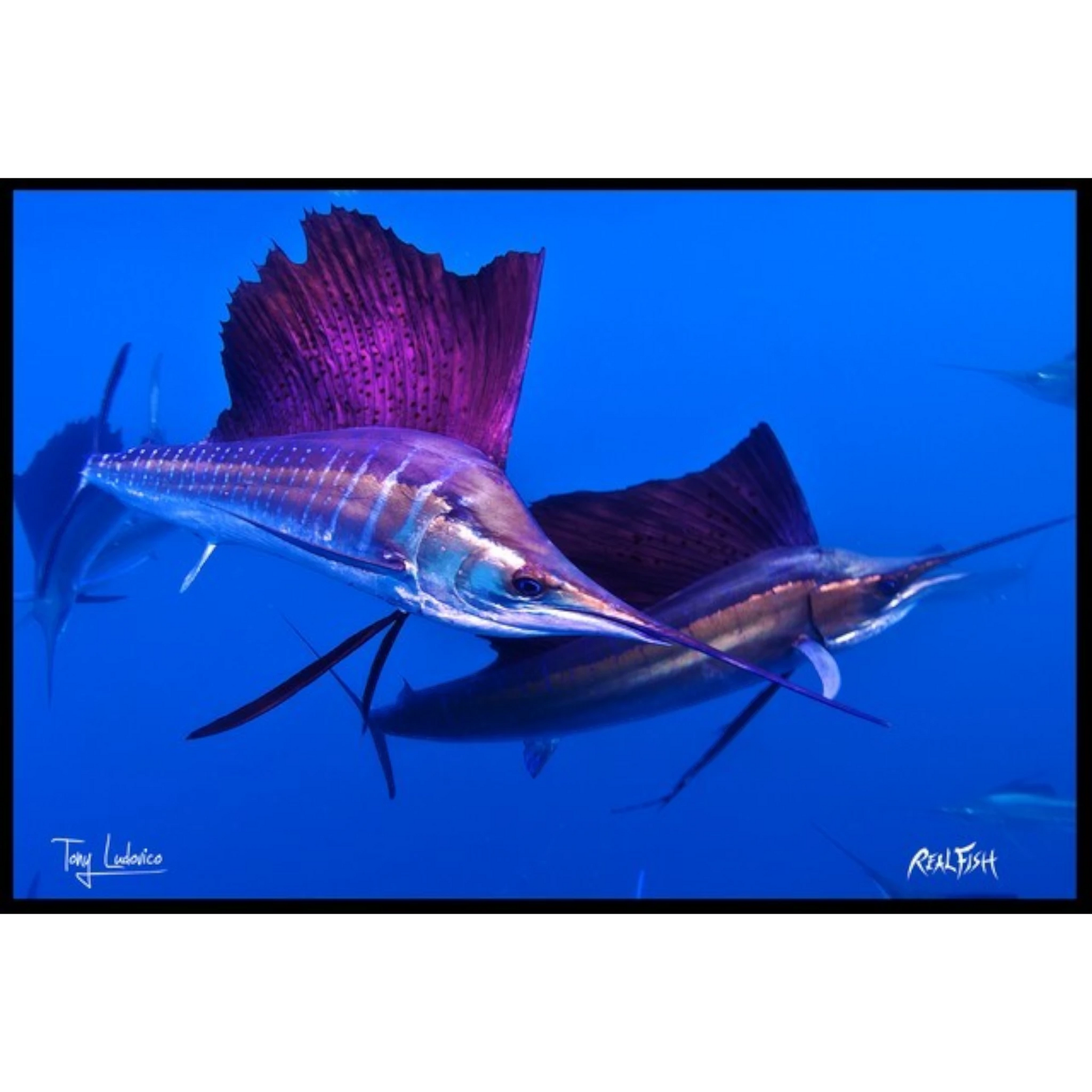 Dogfish Tackle & Marine Realfish floor mat featuring vibrant Gyotaku sailfish artwork on durable tufted polyester.
