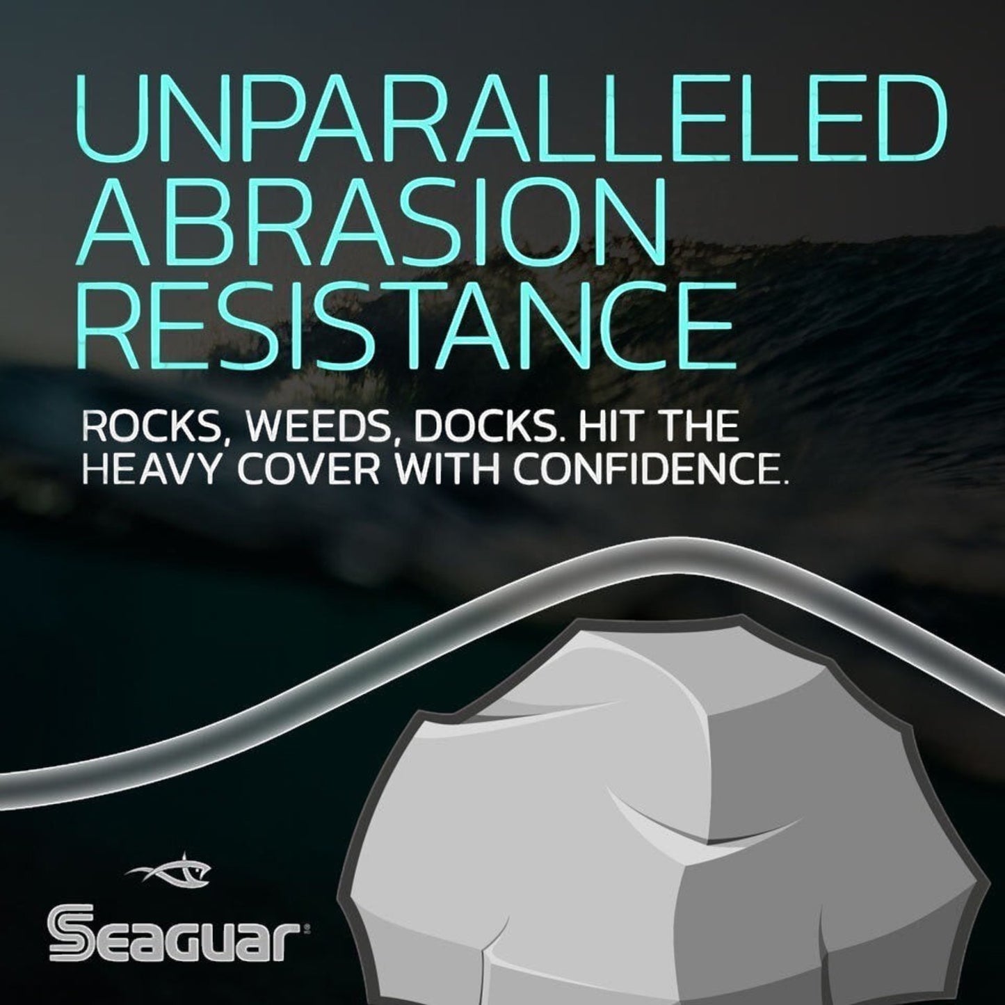 Dogfish Tackle & Marine promotional graphic for Seaguar Blue Label fluorocarbon leader showing abrasion resistance