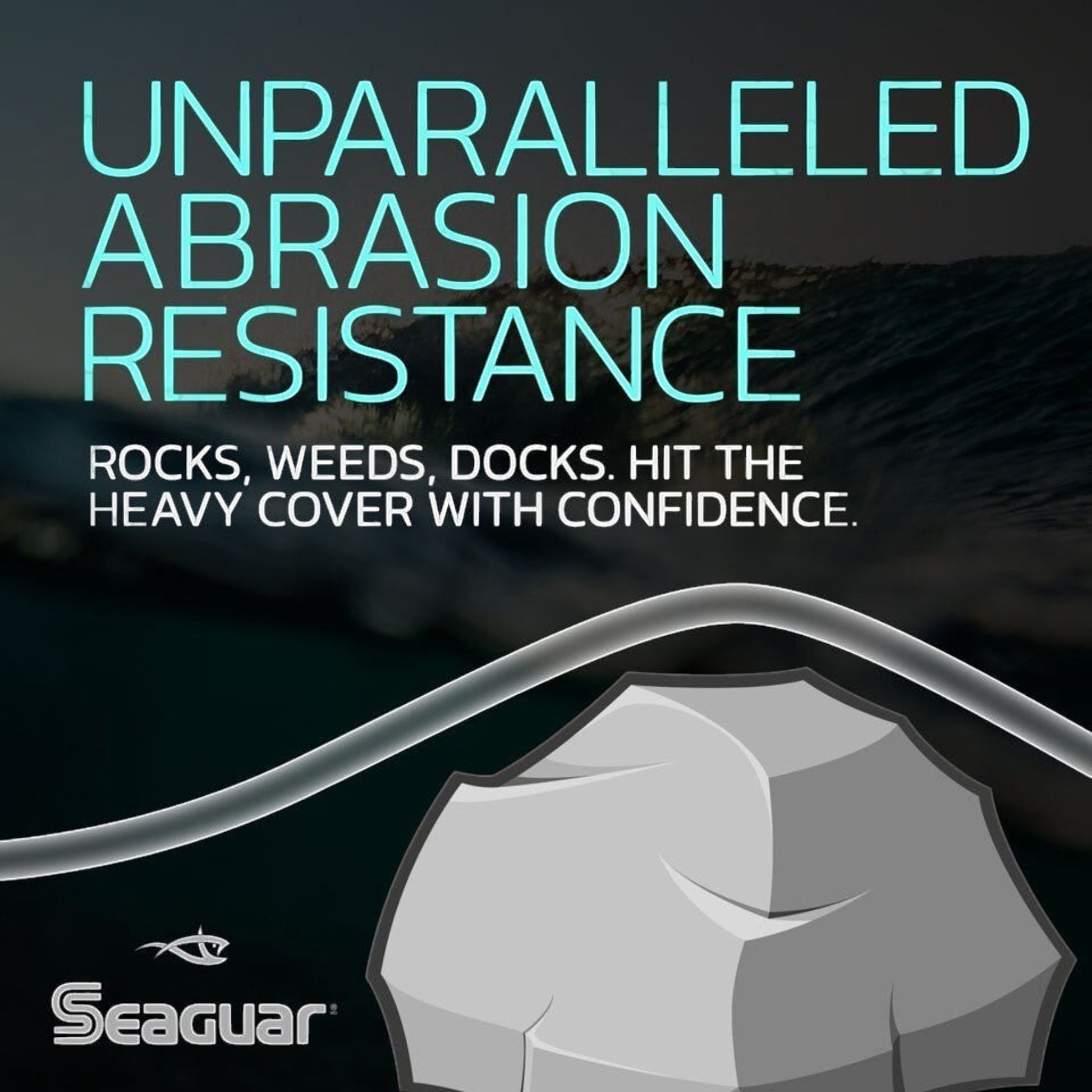 Dogfish Tackle & Marine promotional graphic for Seaguar Blue Label fluorocarbon leader showing abrasion resistance