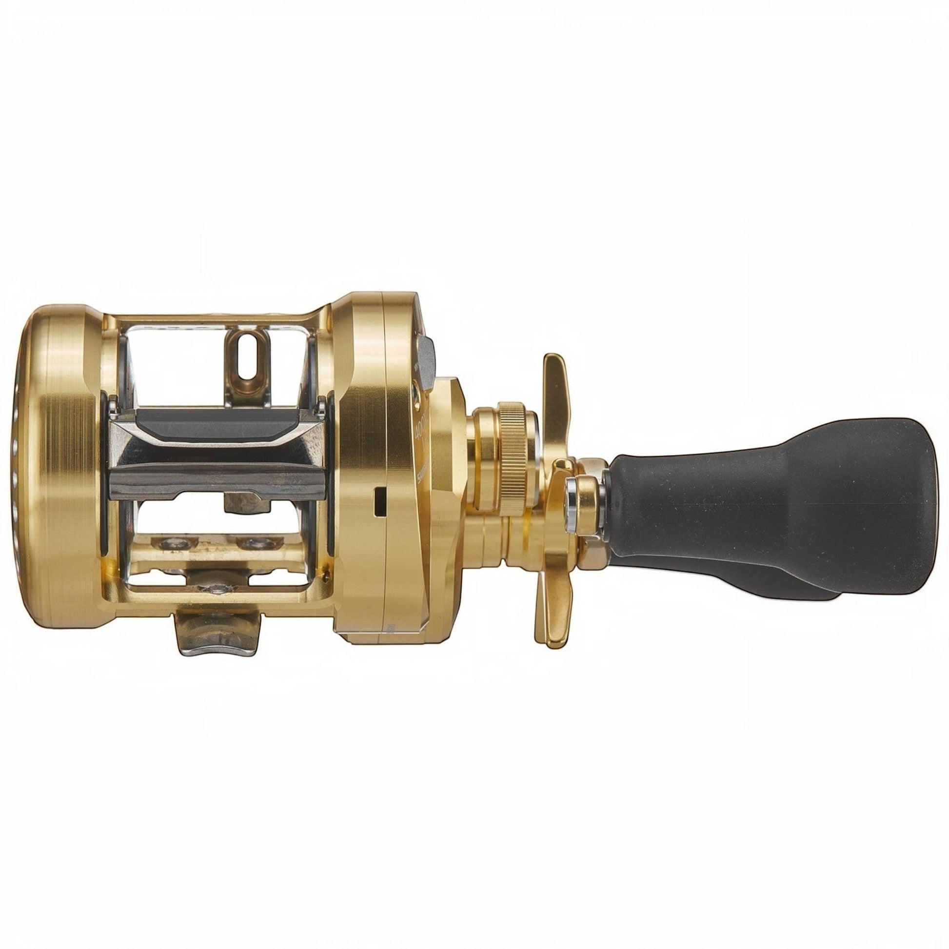 Dogfish Tackle & Marine Shimano Calcutta Conquest MD casting reel, gold finish, with black handle and drag star.