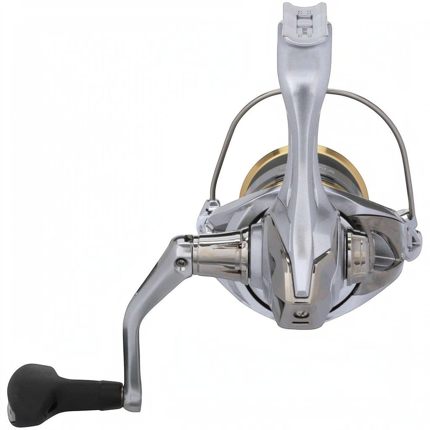 Dogfish Tackle & Marine Shimano Sedona FJ spinning reel, silver with gold accents, featuring HAGANE Gear and SilentDrive technology.
