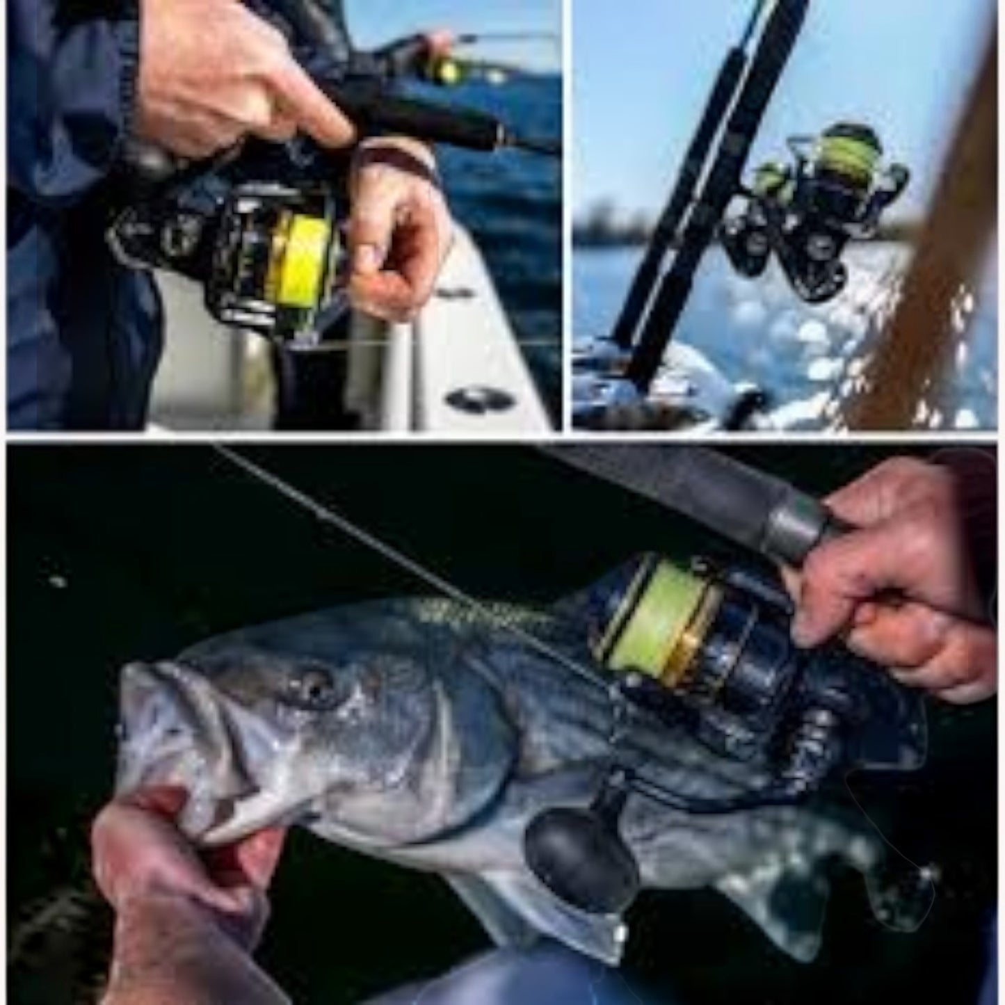 Shimano Spheros SW A saltwater spinning reel with yellow line, black body, and silver accents. Used for fishing.