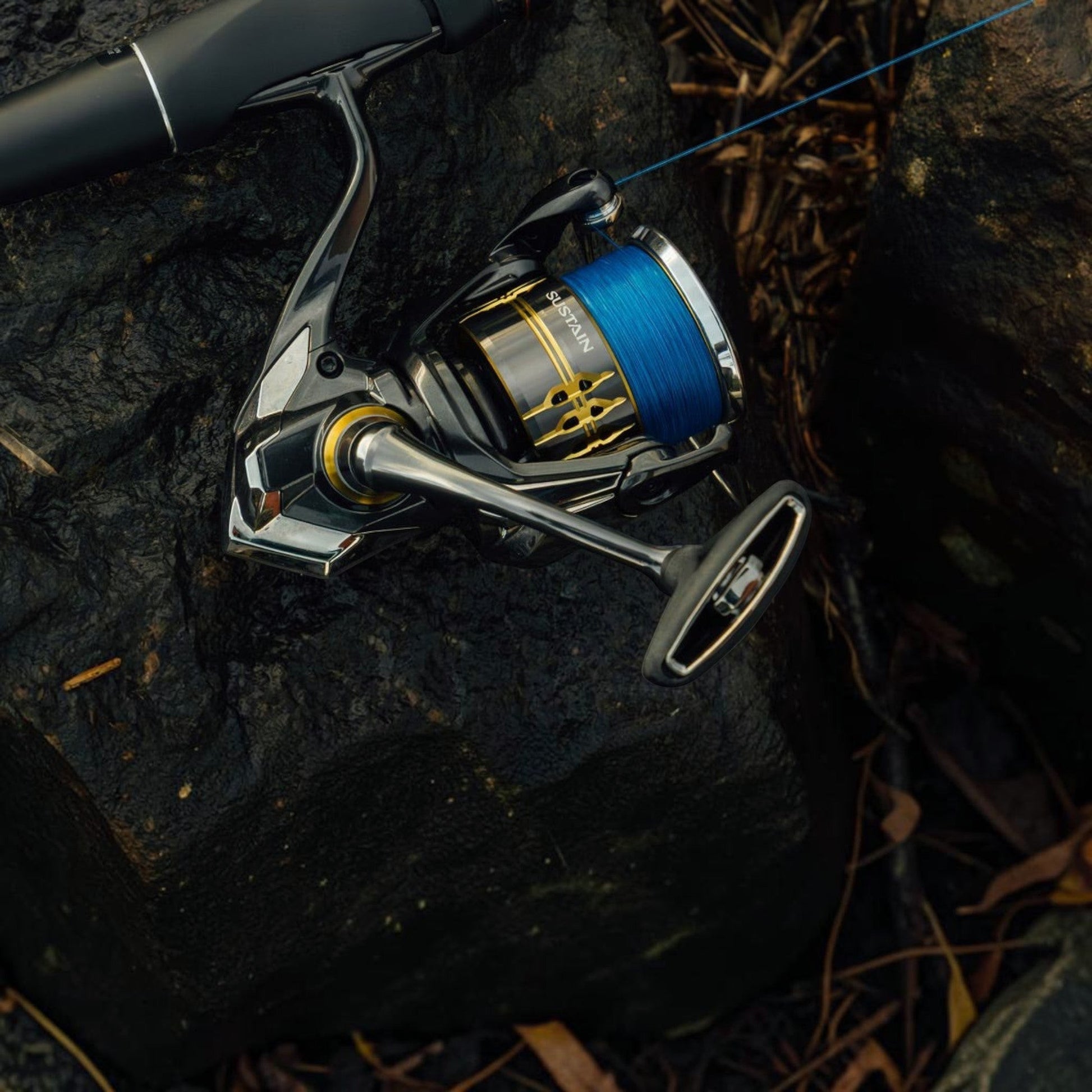 Dogfish Tackle & Marine Shimano Sustain FK spinning reel with blue fishing line, silver and black body, gold accents.