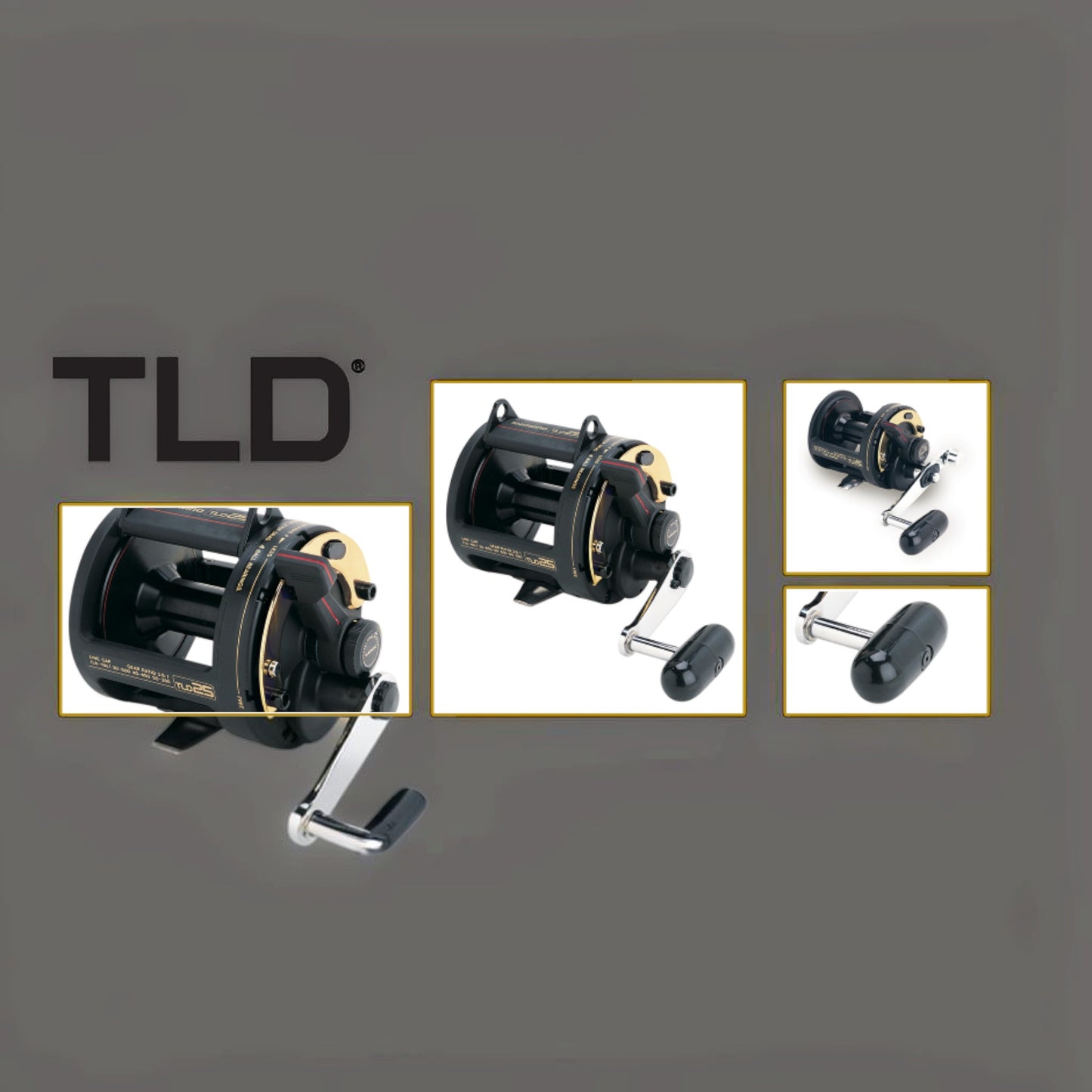 Dogfish Tackle & Marine Shimano TLD conventional fishing reel in black with gold accents and a silver handle.