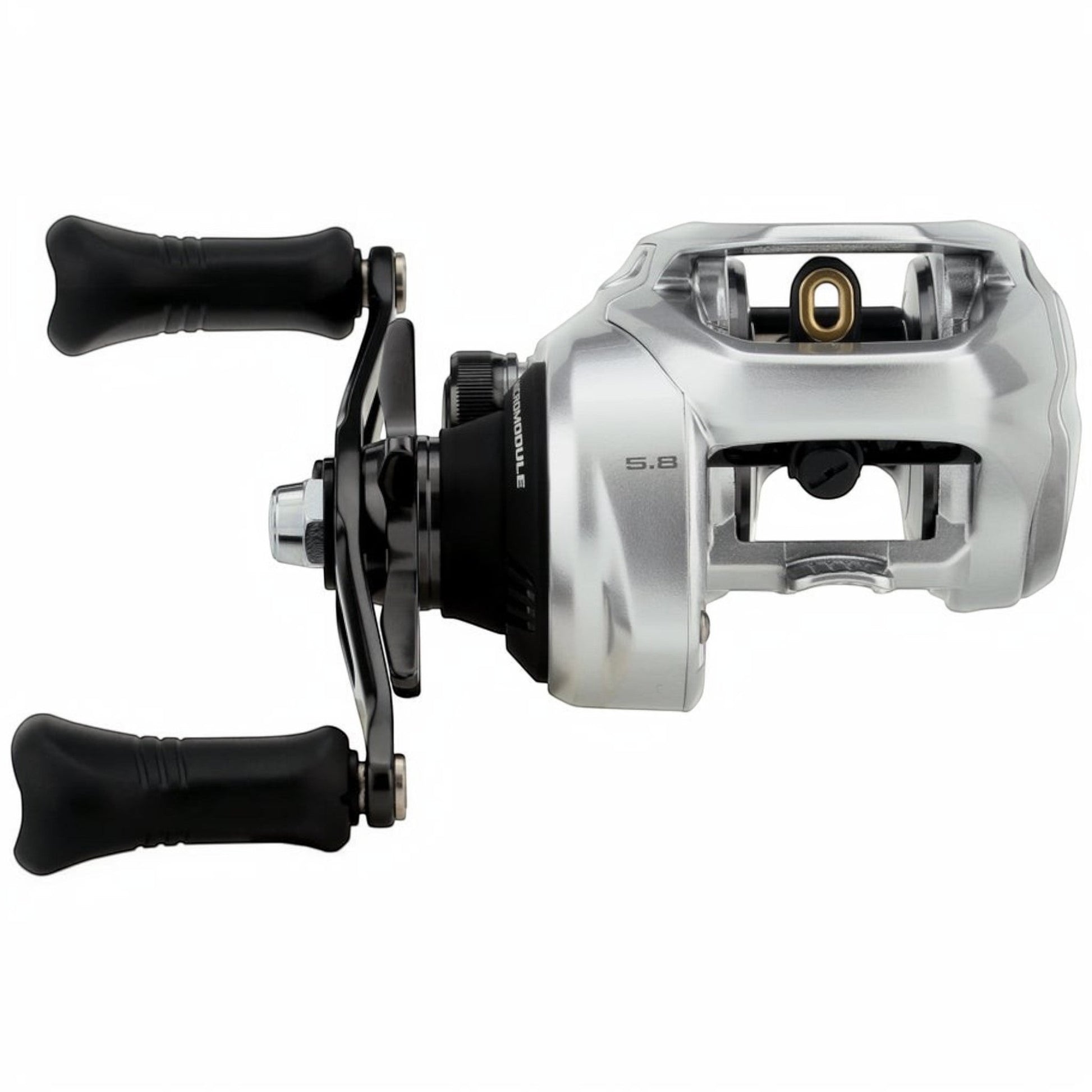 Dogfish Tackle & Marine Shimano Tranx B baitcasting reel, silver with black handle, 5.8 gear ratio.