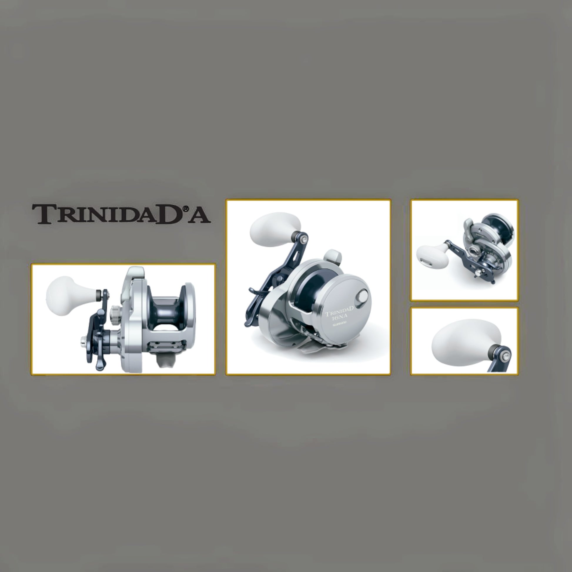 Dogfish Tackle & Marine Shimano Trinidad A conventional fishing reel, silver and black with white handle knob. Features X-Ship and Hagane Body.