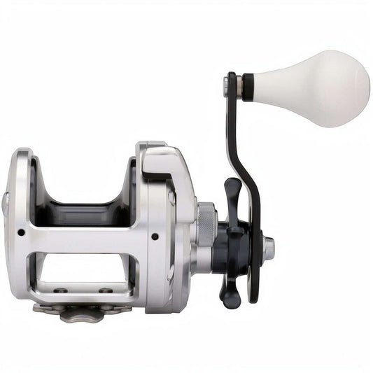 Dogfish Tackle & Marine Shimano Trinidad A Star Drag Conventional Reel, silver aluminum body, black handle, white knob. Ideal for saltwater fishing.