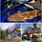 Dogfish Tackle & Marine Shimano Twin Power FE spinning reel with green and purple line, fishing rod, and caught fish.