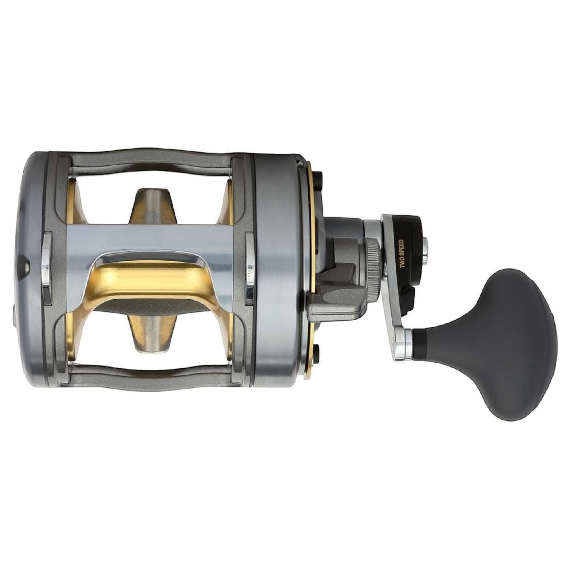 Dogfish Tackle & Marine Shimano Tyrnos 2-Speed conventional fishing reel, silver and gold, with black handle.