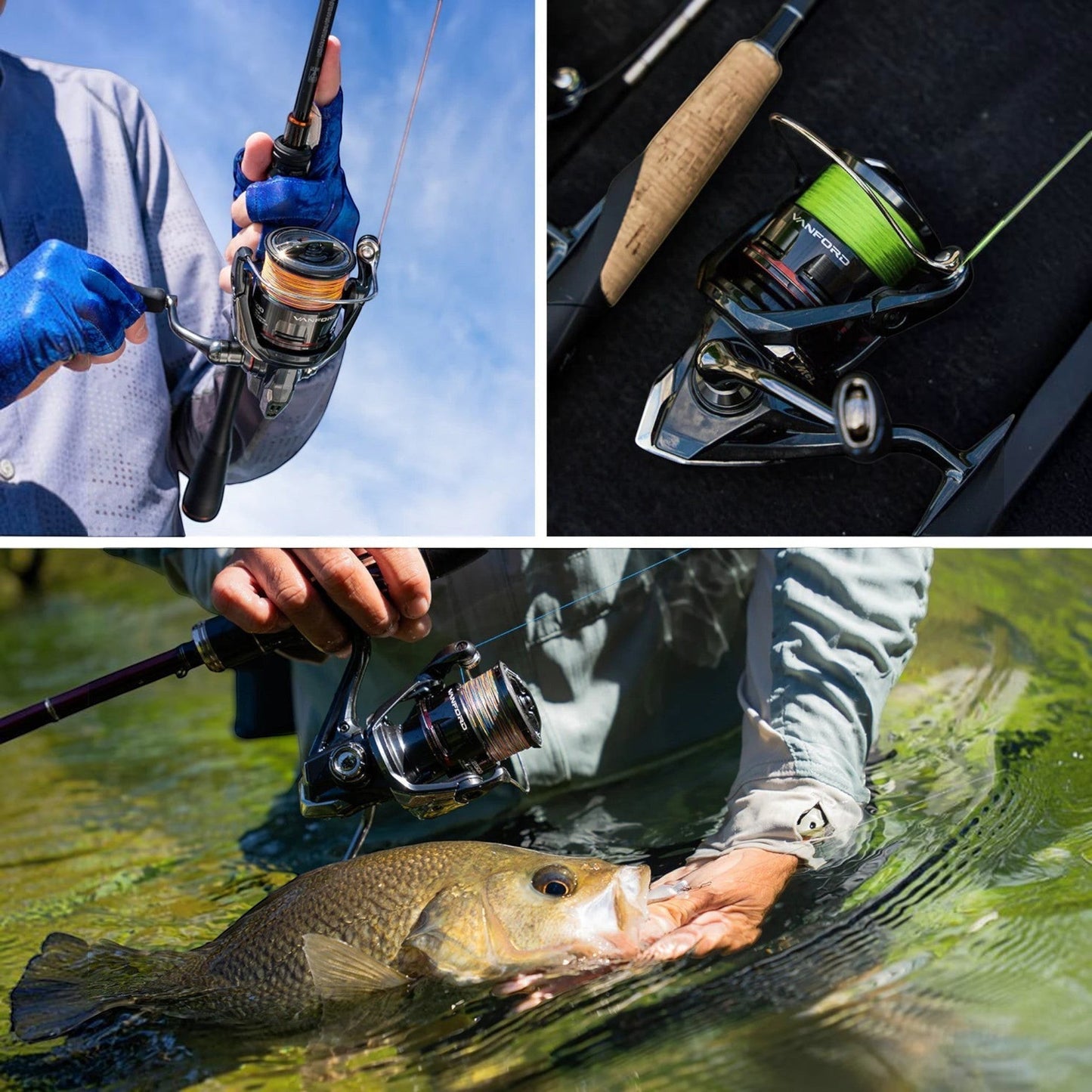 Dogfish Tackle & Marine Shimano Vanford FA spinning reel with orange line, and another with green line. Angler holding fish.