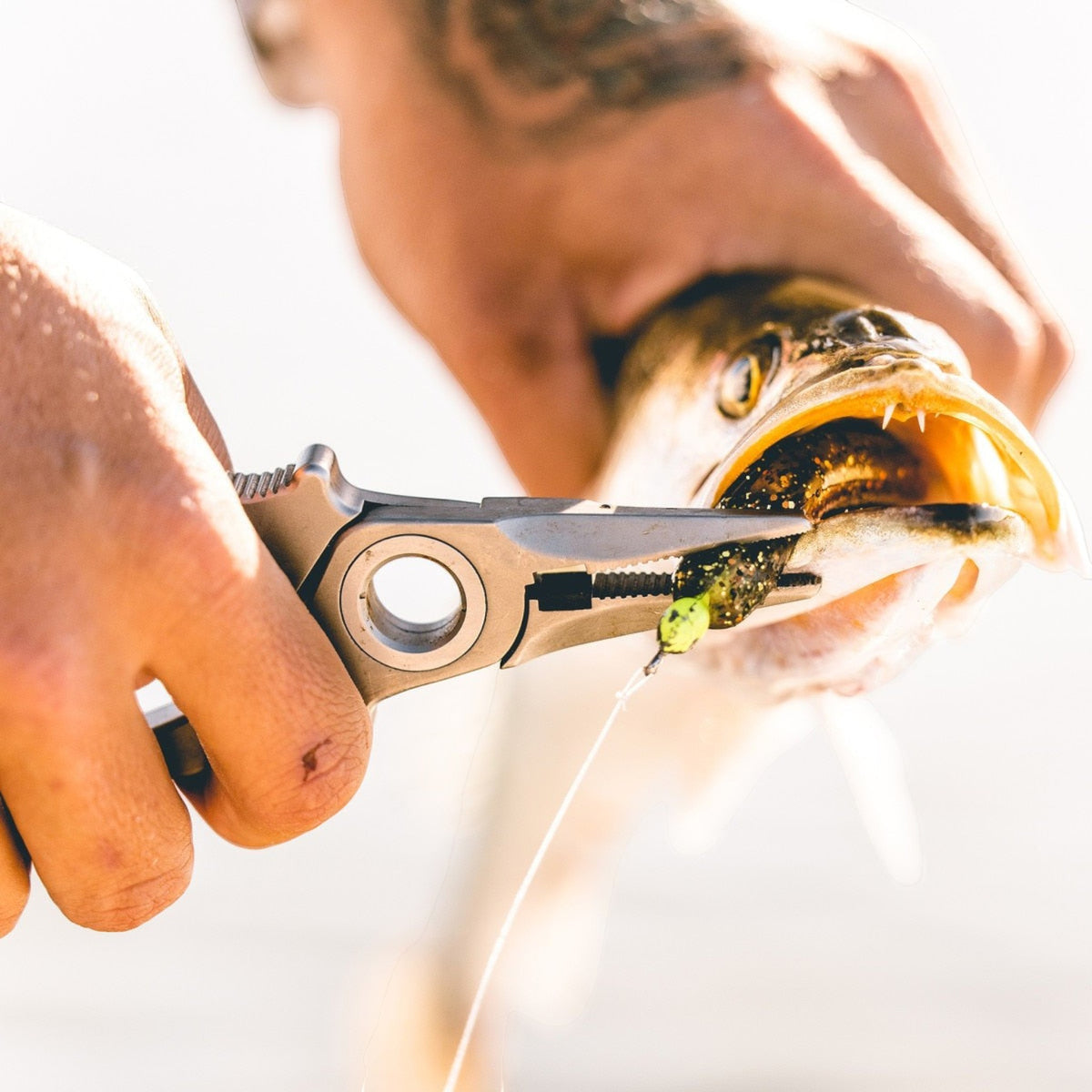 Dogfish Tackle & Marine Danco Premio titanium fishing pliers removing a hook from a fish mouth in a sunny setting
