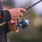 Daiwa Legalis LT Spinning Reels