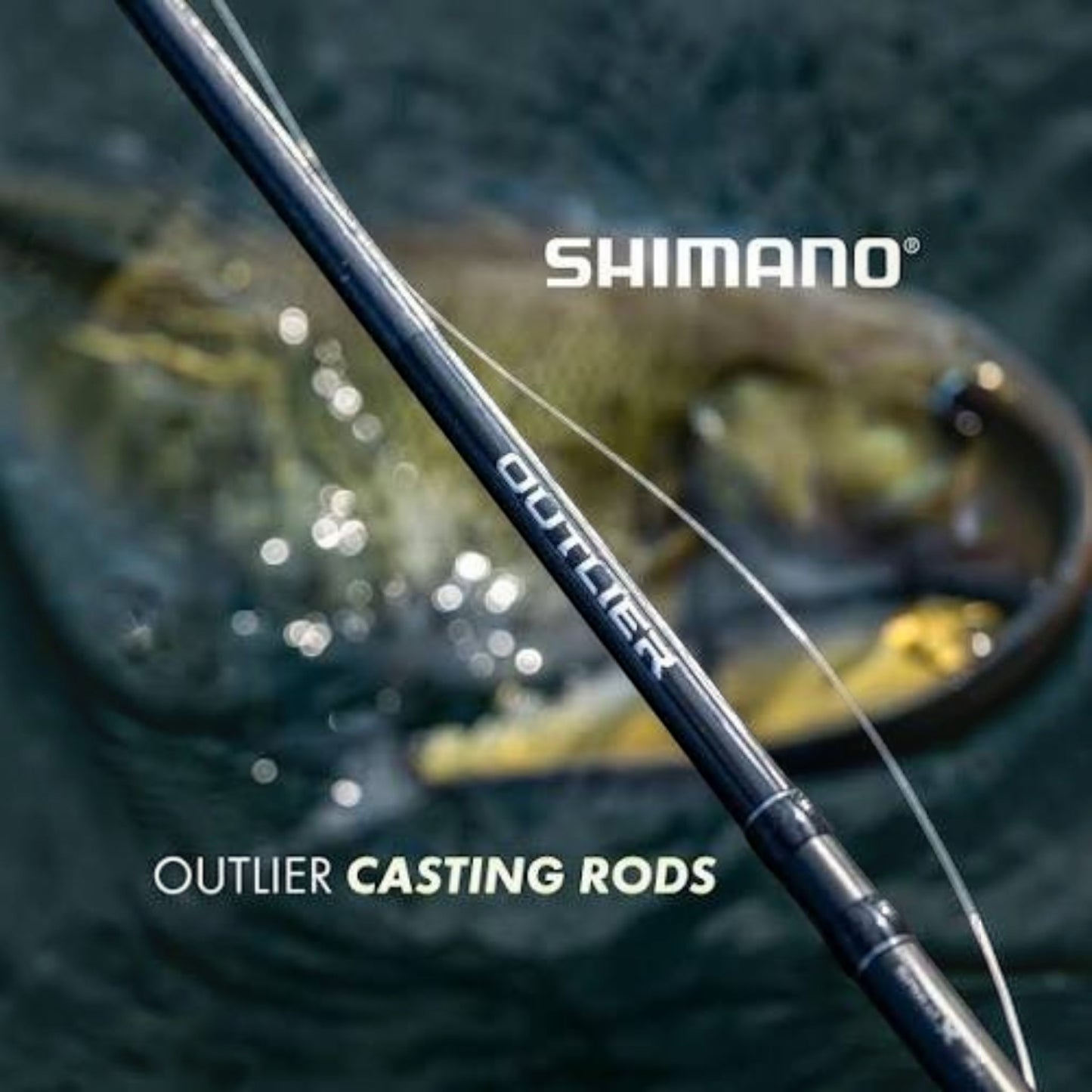 Shimano Outlier Casting Rods - Dogfish Tackle & Marine