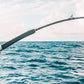 Shimano Terez Offshore Spinning Rods
