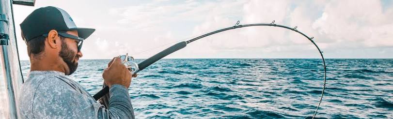 Shimano Terez Offshore Spinning Rods