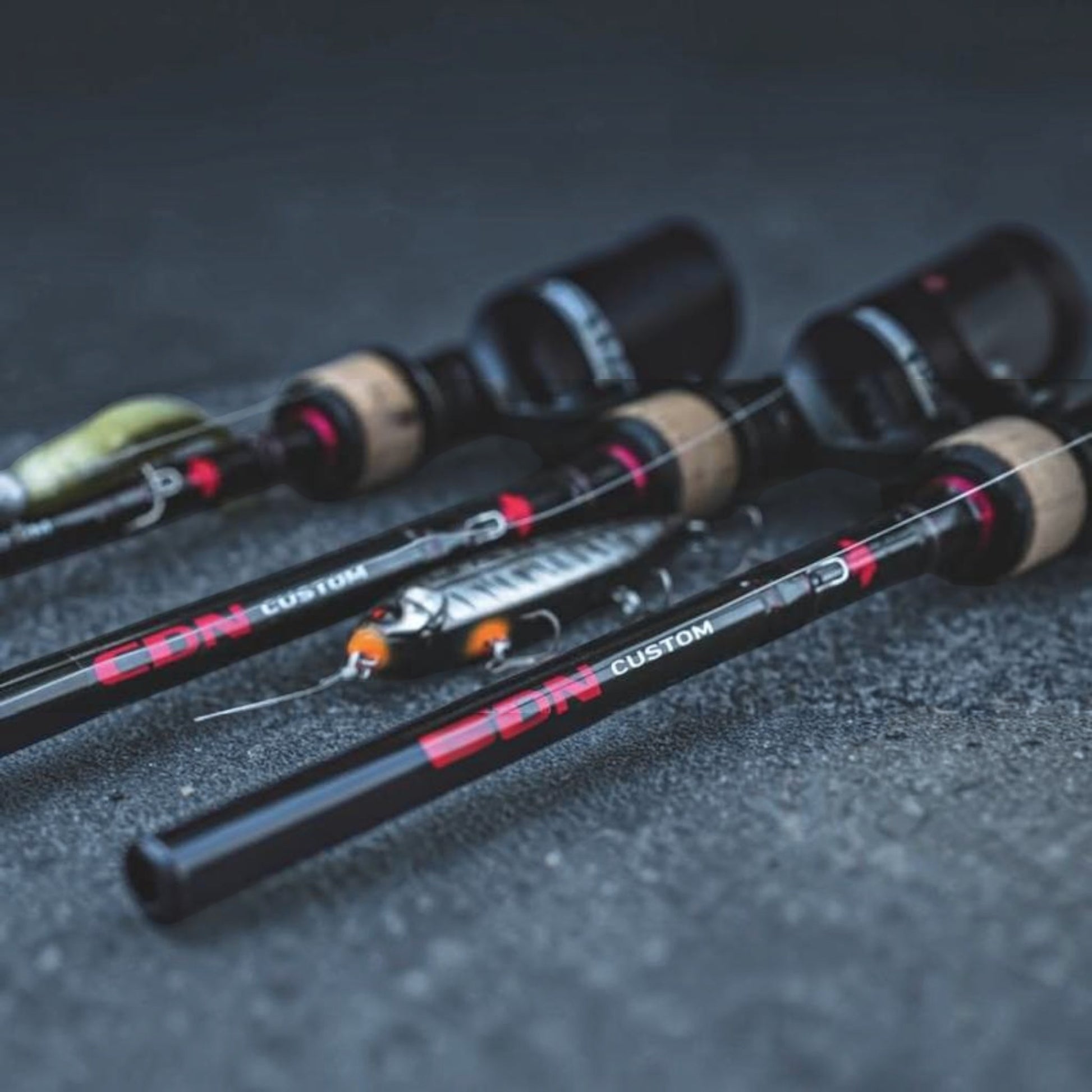 Daiwa 24 CDN Custom Rods - Dogfish Tackle & Marine