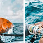 Shimano Terez Offshore Spinning Rods